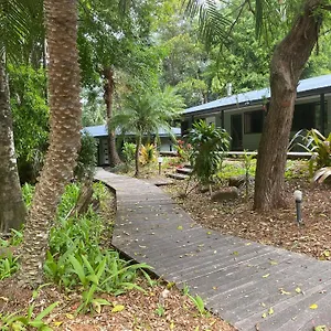 Koala Sunshine Coast , Mapleton Australia